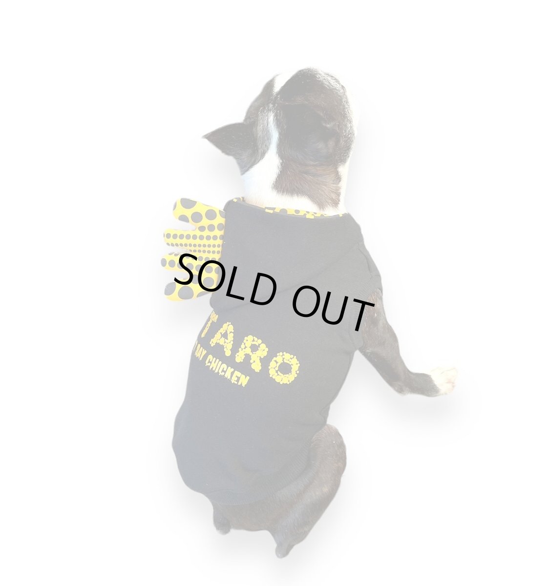 画像4: ＜再販＞『チキンって言うな！』ブラック (4)