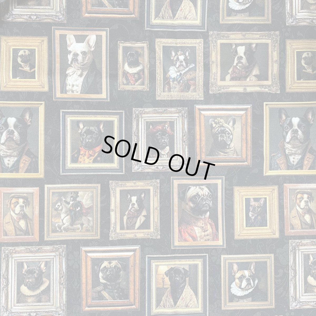 画像8: OC：絵になるわんこ達 (8)