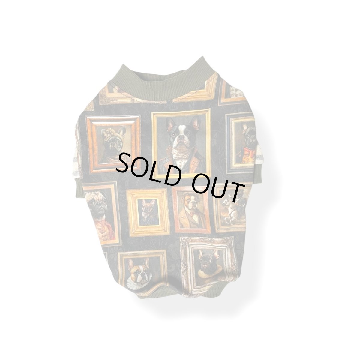 画像1: OC：絵になるわんこ達 (1)