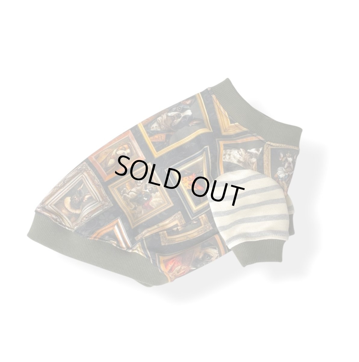 画像2: OC：絵になるわんこ達 (2)