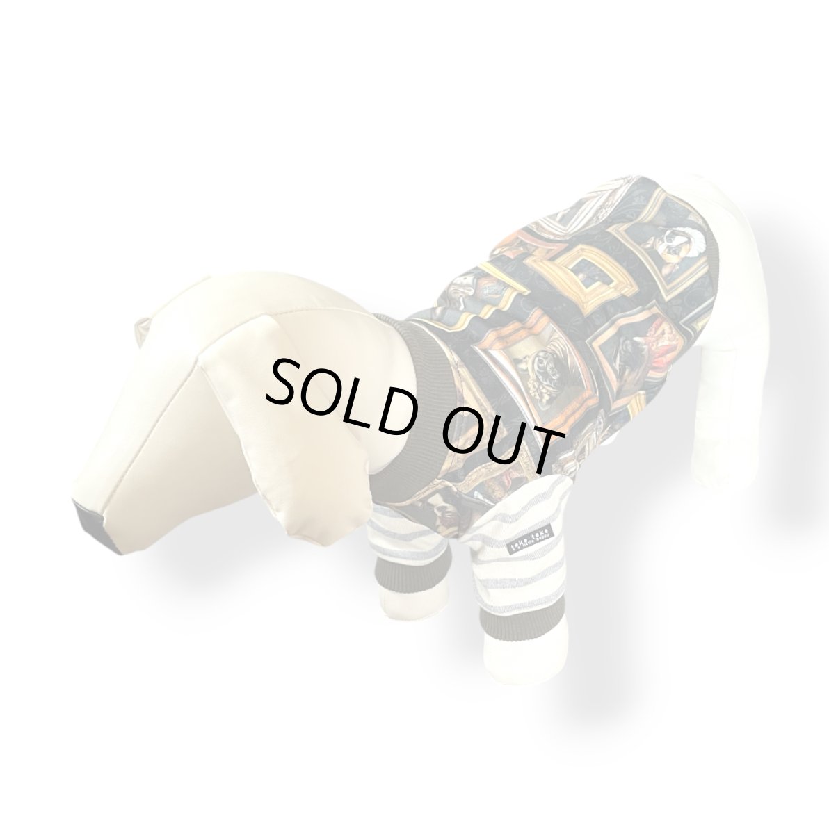 画像6: OC：絵になるわんこ達 (6)