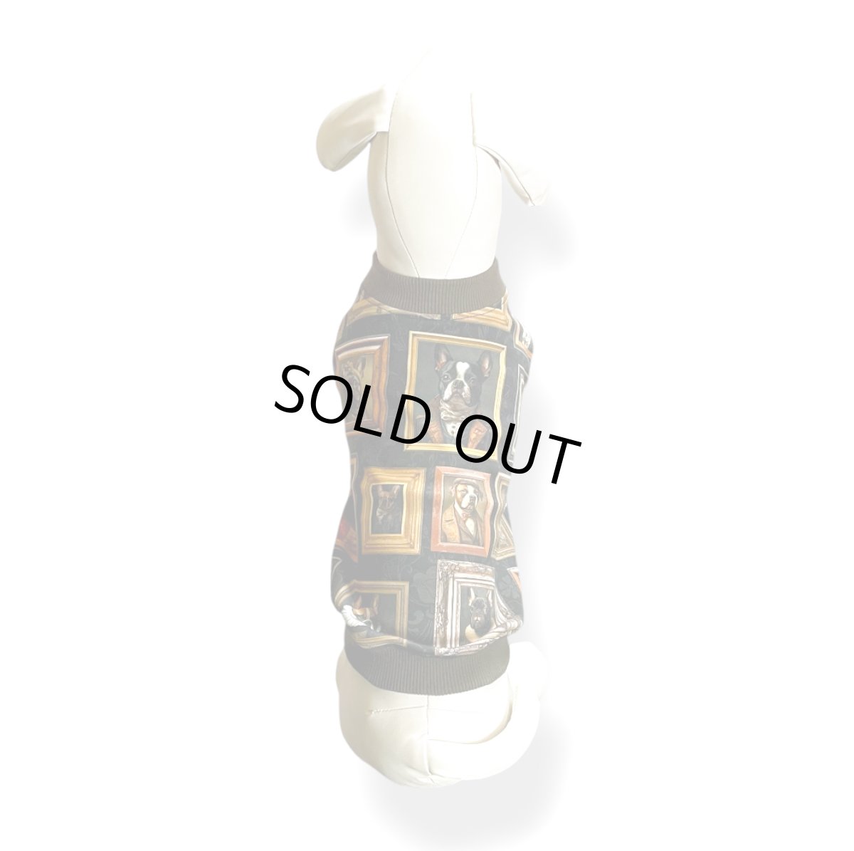 画像7: OC：絵になるわんこ達 (7)