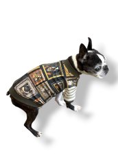 画像5: OC：絵になるわんこ達 (5)